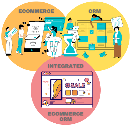 Ecommerce crm