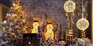 ERP for Christmas Imports